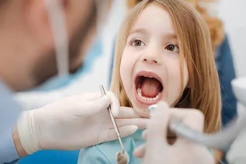 Dental Exam - Kid Grins Dental Exam - Kid Grins